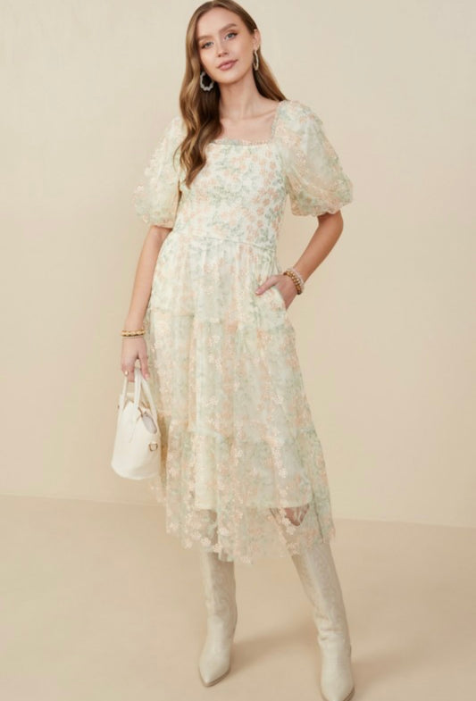 Maci dress in women