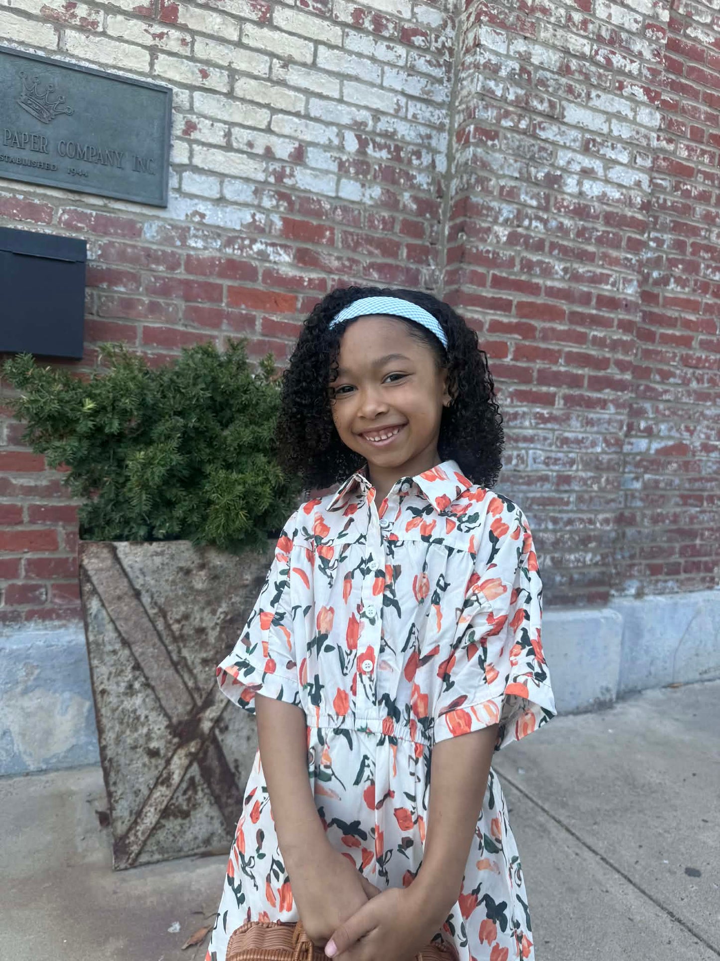 Traci dress